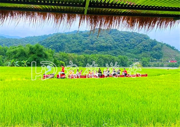 河南香蕉在线影院廠家